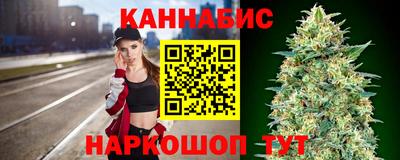 крисы Гай