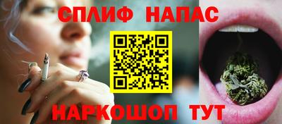 гашик Гагарин