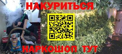 крисы Гай