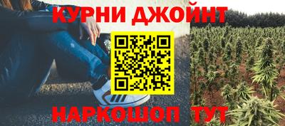 крисы Гай