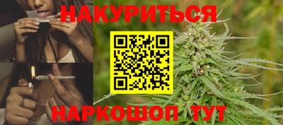 крисы Гай