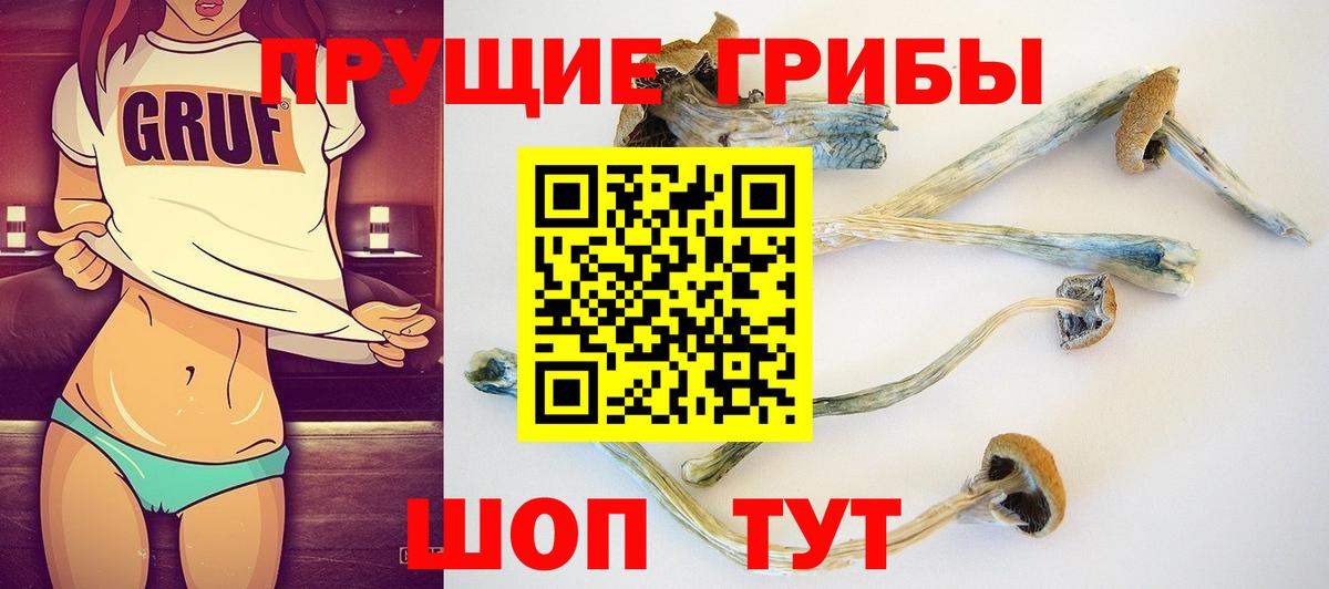 купить наркоту  Псилоцибиновые грибы MAGIC MUSHROOMS  Вход с VPN  Волгодонск  Галлюциногенные грибы MAGIC MUSHROOMS 