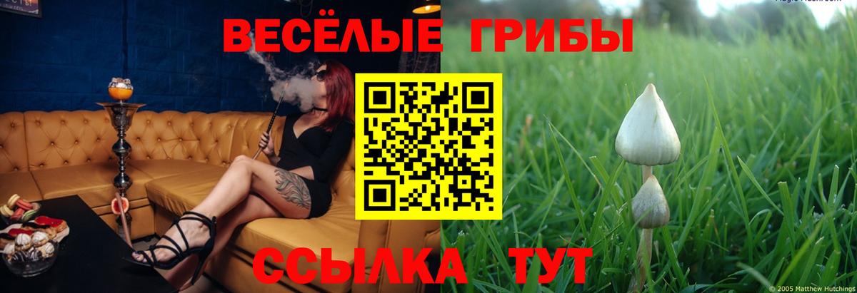 Псилоцибиновые грибы мицелий Волгодонск